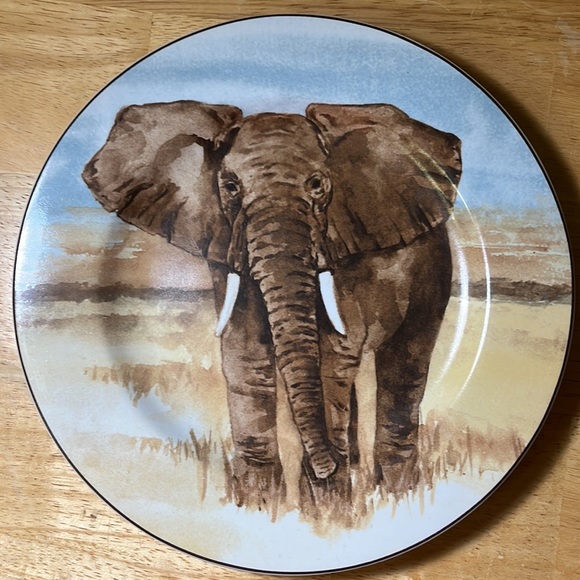Safari plates - Picture 3 of 4